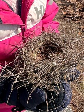 Natural Maine Rustic Bird Nest - Natural Brown & Tan